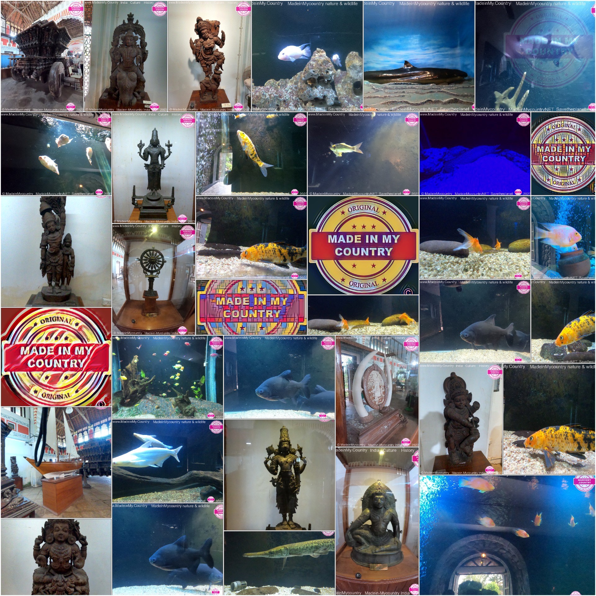 Kerala Museum of Natural History presented by MadeinMycountry MadeinMycountry is a global platform that celebrates and supports local history, culture, art, and nature conservation efforts. For two decades, we have been sponsoring local museums, cultural organizations, travel destinations, historical sites and various cultural events around the world.